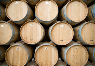 Rey Sol Tequila Casa San Matias